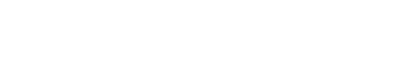 Idein Inc.